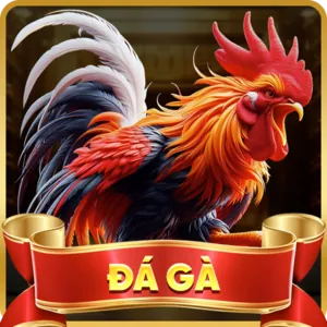 Hỗ trợ Khách hàng 77 ball link hôm nay