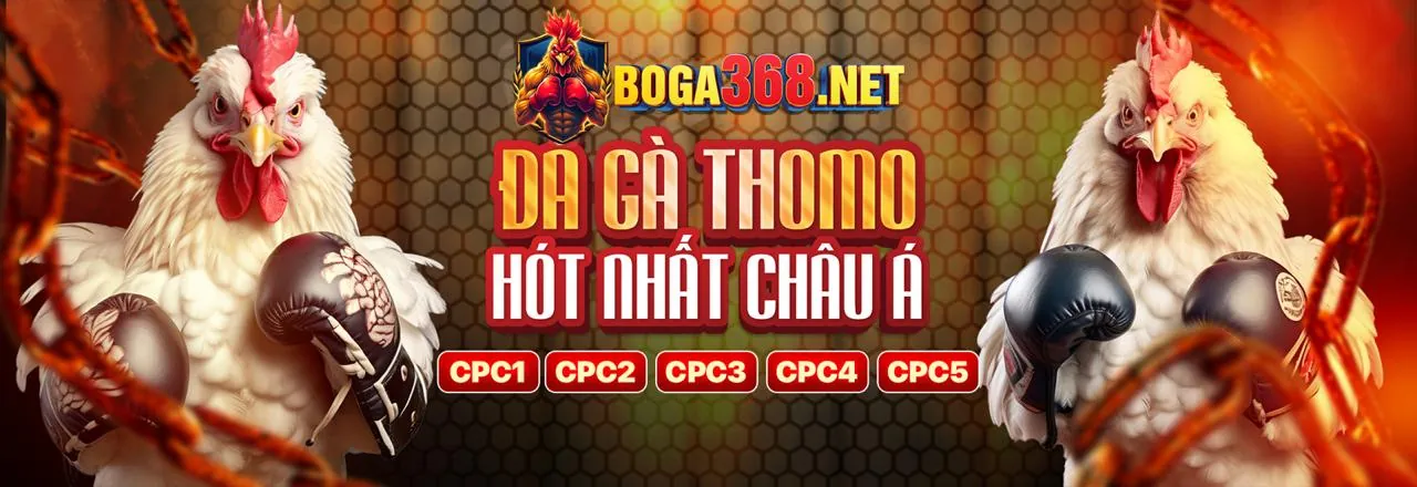 Đá Gà Trực Tuyến Hấp Dẫn tại 77 ball link hôm nay